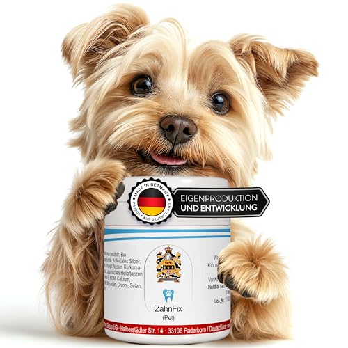 Pet ZahnFix Revital Liposomal Zahnpasta für Hunde und Katzen – 40ml natürliches Zahngel gegen Zahnstein & Zahnfleischentzündung – enzymatische Hundezahnpasta ohne Xylit mit Kurkuma, Kokosöl
