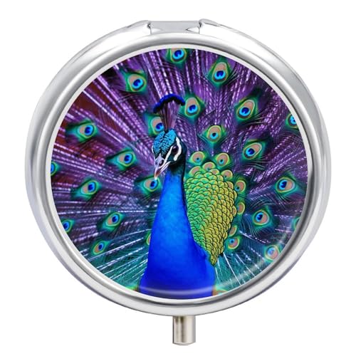 EhX[s{bNXhsI[KiCU[|[^ur[eB[s[RbNvggxsP[X r^~̗spz|Pbgp