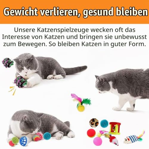 Speedy Panther 21 Stücke Katzenspielzeug Set Katzentunnel Interaktives Katzen Spielzeug für Kätzchen Federspielzeug Katzenbälle… – Ansicht 6