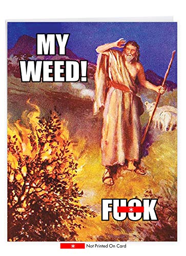 Nobleworks - 1 Big Funny Card For All Occasions (8.5 X 11 Inch) - Blank Stationery Notecard, Humor - Moses J4300K #TOP16