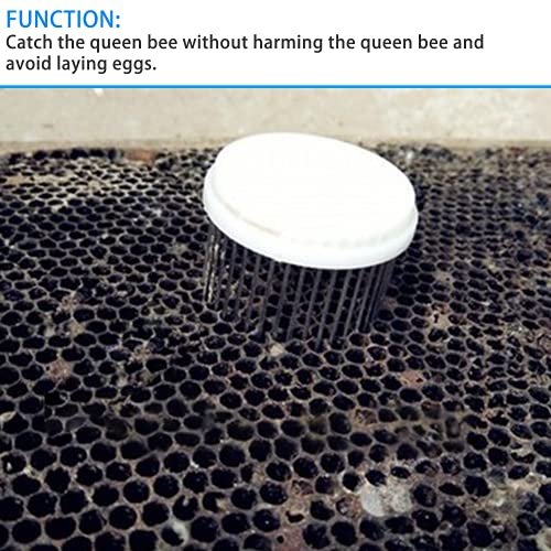 4 Stück Nadelstil Bienenkäfig Schnalle Typ Queen Bienenkäfig Edelstahl Nadel König Käfig Bienenzucht Ausrüstung Bienenhaltung Zubehör