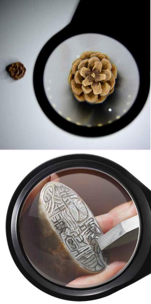 Lente d'Ingrandimento, Lente d'Ingrandimento illuminata a 36 LED con Supporto, Lente d'Ingrandimento a LED 3X 5X 8X 10X con Mano, Lampada da scrivania con Lente d'Ingrandimento per