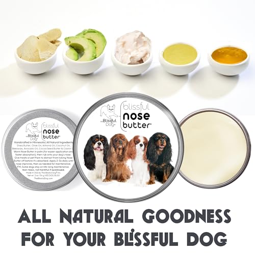 Image of The Blissful Dog Cavalier King Charles Spaniel Nose Butter, Versatile Dog Nose Balm for Dry Nose, Handcrafted Nose Moisturizer, Easy-to-Apply Dog Essentials, Unscented, 2 oz.