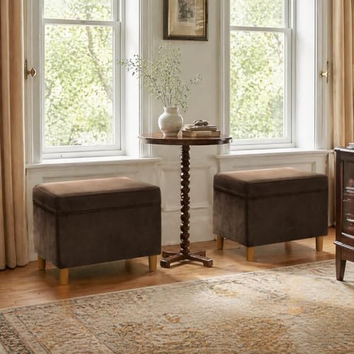 Image of HomePop 24 inch Dinah Collection Storage Ottoman - Chocolate Brown Velvet