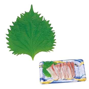 グルメシート① 51LIcbVCNeL._UF350,350_QL50_.jpg