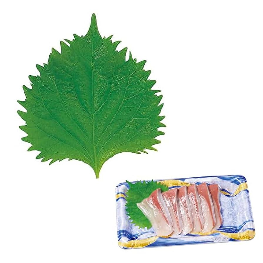 グルメシート③ Amazon｜フィルムシート グルメシート 大葉 丸（約80mmφ）1箱