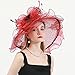 Elegant Red Organza Derby Hat for Women – Wide Brim Sun Visor with Floral & Polka Dot,Weddings,Cocktail,Tea Party,Kentucky