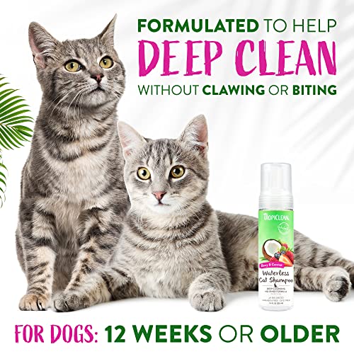 Tropiclean Berry Coconut Waterless Cat Shampoo | Deep Cleansing Dry Shampoo For Cats | Natural Cat Shampoo Derived From Natural Ingredients | Made In The Usa | 7.4 Oz. #TOP3
