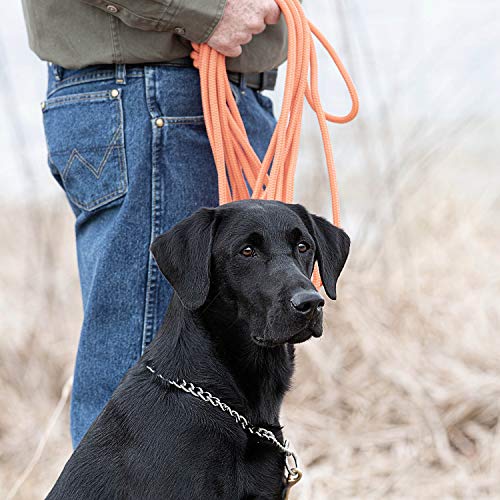 Sportdog Brand Orange Check Cord - 30 Feet Long - Strong But Lightweight Training Tool - Highly Visible And Floats #TOP3