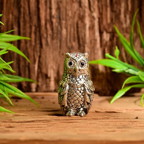 Image of DHRUVS COLLECTION 999 Silver Vastu Owl | Religious & Corporate Decorative Gifts | Handmade Owl Sculpture, Feng Shui Bird, Evil Eye Protection, Paper Weight, Home & Office Table Showpiece