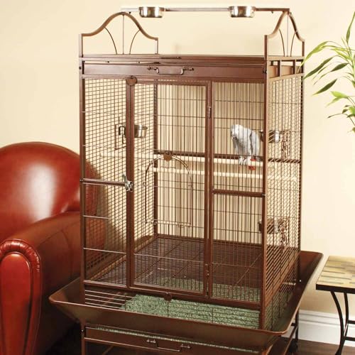 How Much is a Bird Cage at Petco: Affordable Options Revealed