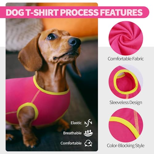 Hjyokuso Dachshund Jumper, Elastic Lightweight Dachshund Fleece T-Shirt, Designed for Dachshunds Ideal for Sleeping Lounging - Image 2