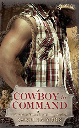 Cowboy to Command (Stripped Down Book 2)