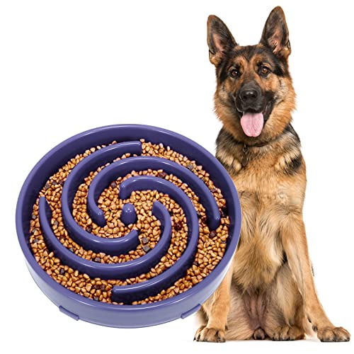Gamelle pour chien à alimentation lente, anti-élingue Intéressant Interactif Gamelle pour chien, Taro violet Cover