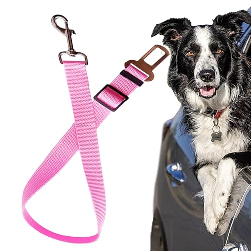 pԗpV[gxgApԗpSxg | pԗpSxgpԂ̃V[gxg - ߉\ȃXgbvobNNbvV[gxgAԂ̃V[gxgA^b`gԗV[gxgA^]As̈Ŝ