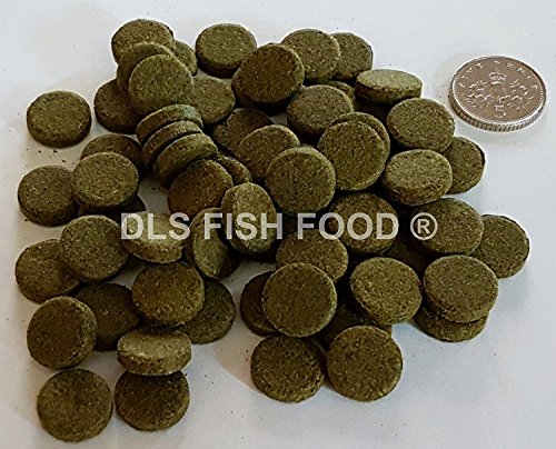 DLS Fish Food Spirulina Algae Tablets Catfish Pleco Plec 50g