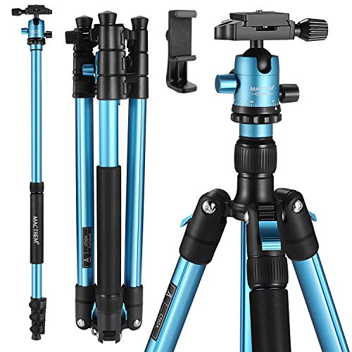 10 Best Lightweight Camera Tripod For Hiking Reviews By Cosmetic Galore
