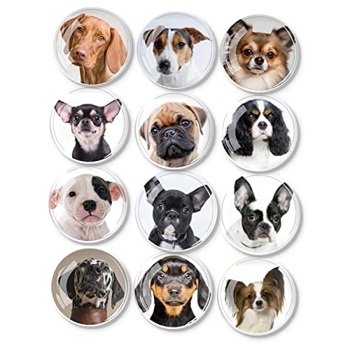 KX͎C①Ƀ}OlbgAEht@j[hbOLb`}OlbgItBXzCg{[hALrlbgAH􂢋@AbJ[(12)