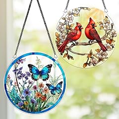 1 Butterfly & 1 Bird a