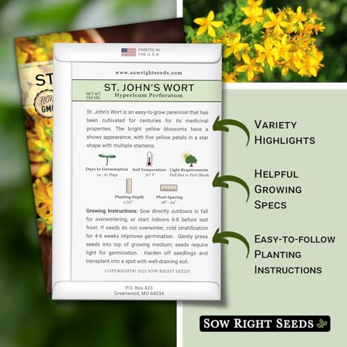 Sow Right Seeds - St John’s Wort Seeds for Planting - Non-GMO Heirloom Packet with Instructions to Plant & Grow an Outdoor or Indoor Herb Garden - Native Wildflower with Medicinal & Culinary Uses (1) - Image 2