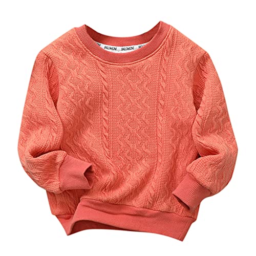 Toddler Children Kids Baby Boys Girls Solid Round Collar Knitted Thick Sweater Pullover Blouse Tops (D, 3-4 Years)