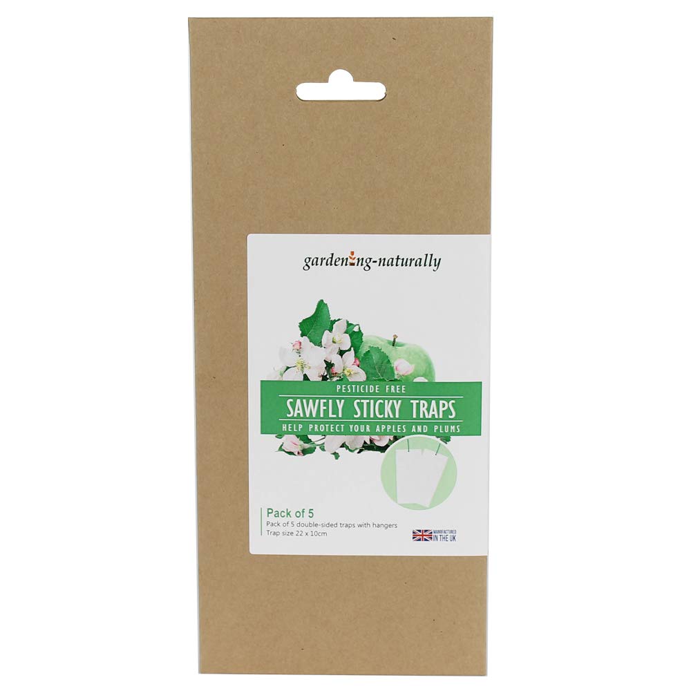 Apple Sawfly Traps 5 Pack