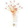 Product Photo 4