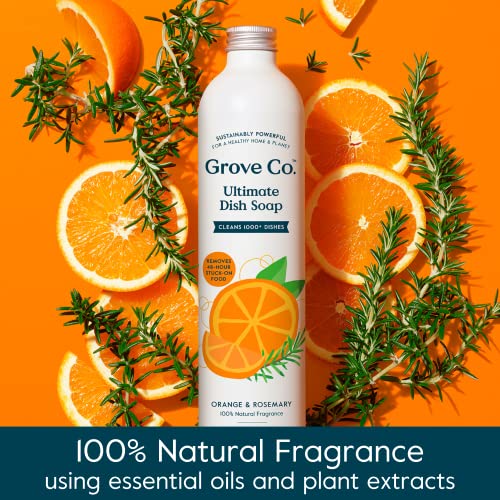 Image of Grove Co. Dish Soap, 3 x 16 fl oz Refills, Orange & Rosemary | Plastic-Free; Refill format; Natural Fragrance; Removes Stuck on Food; 98% plant-based ingredients