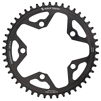 Amazon | ウルフトゥース(Wolf Tooth) 110 BCD 5 Bolt Chainring
