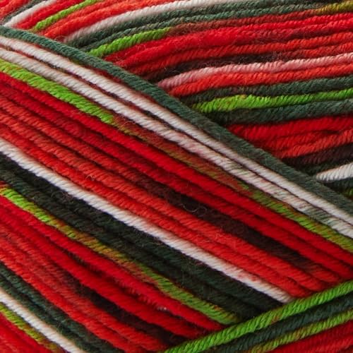 Image of Premier Yarns Fruits, Acrylic Sock Yarn, 2-Pack Bundled with Bella's Crafts Stitch Markers (Watermelon)