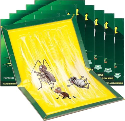 home best outdoor insect traps