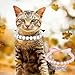 Pearl Pet Jewelry Set - Dog & Cat Collar Necklace, Diamond Pearls, Cute Fashion for Puppy, Kitten, Wedding & Party (M)