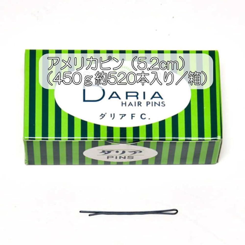 アメリカピン　450g（約520本）　美容師　業務用　ヘアセット　８箱 Amazon | アメリカピン（5.2cm）14個（450g約520本入り／箱×14