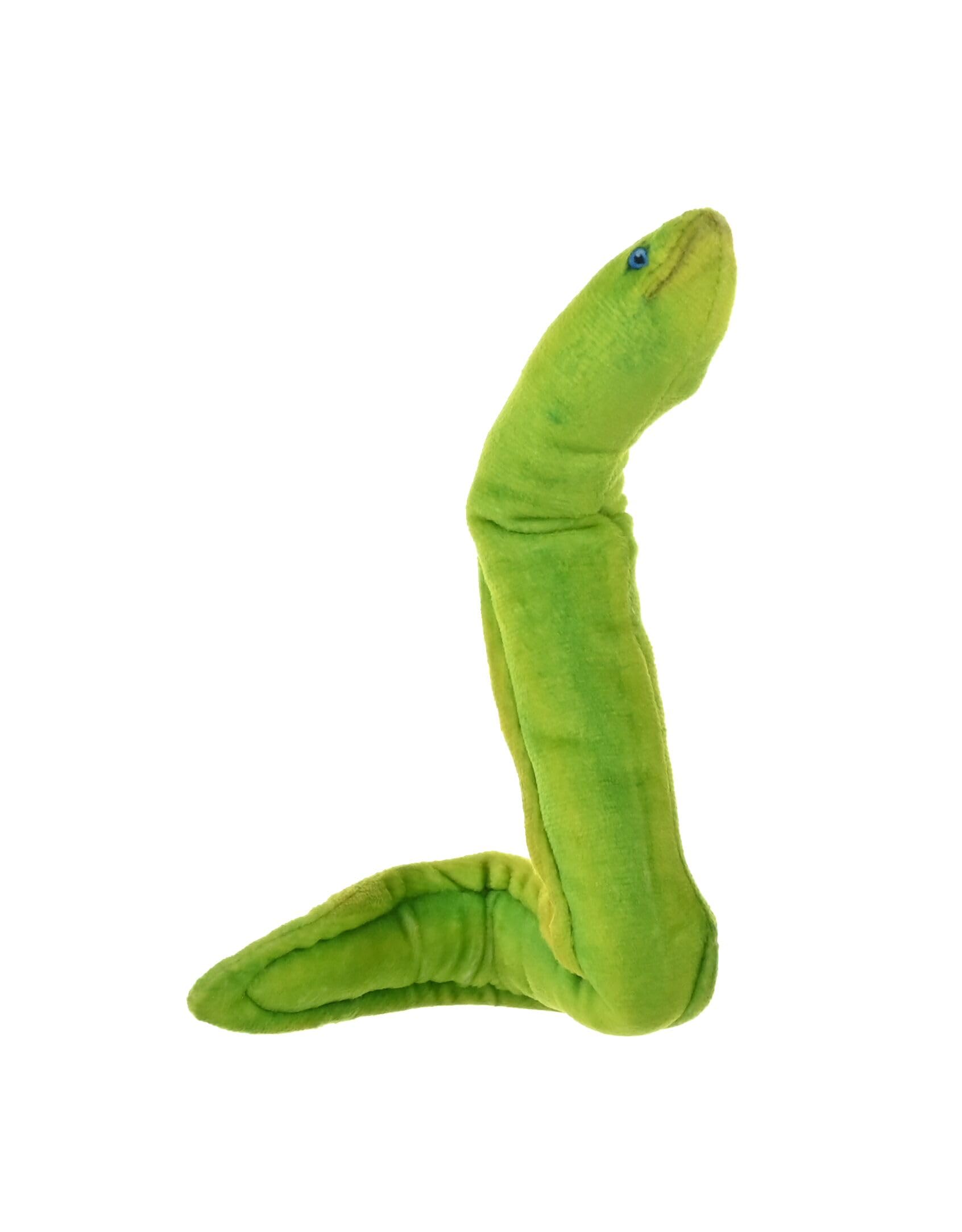 Wild Republic Coilkins Moray Eel Green, Stuffed Animal, 12 Inches, Plush Toy, Fill is Spun Recycled Water Bottles