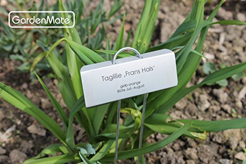 GardenMate 25x Pflanzenschilder Typ Large aus Metall - Höhe 30cm Beschriftungsfeld 9x3cm - Wetterfeste Pflanzenstecker zum Beschriften für Garten, Hochbeet, Gewächshaus, Blumenbeet, Pflanzgefäße
