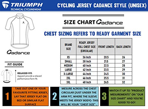 Image of TRIUMPH Warrior Mens Cycling Jersey Half Zipper Jersey Short Sleeve T-Shirt & 3-Rear Pockets with Reflective Logo