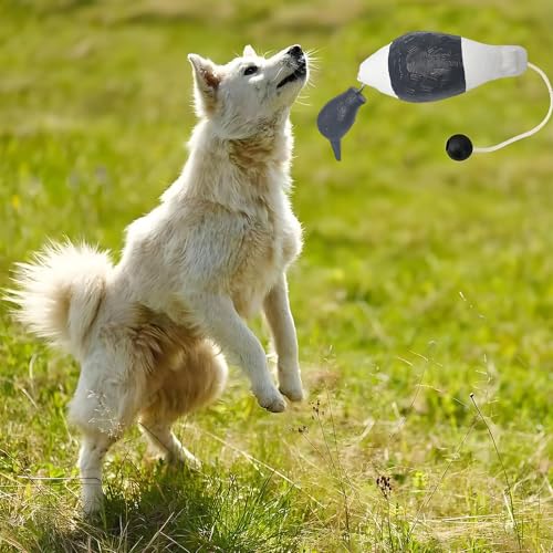 WideSmart Dummy Hundetraining,Hundetraining-Enten Dummy Hund Hundetraining Zubehör Apportierdummy Dummy Hundetraining Wasserspielzeug Hund Hunde Dummy Hunde