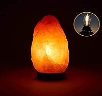 Vista 6 de Juego de 4 cables de accesorios de luz individual con 8 bombillas LED (4 de repuesto), cable accesorio de 6 pies con enchufe de encendido/apagado C7