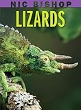 Nic Bishop: Lizards