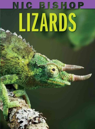 Nic Bishop: Lizards