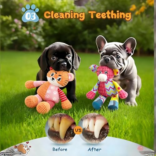 Swooflia 2 Packs de Juguetes Sonoros para Perros miniatura 4