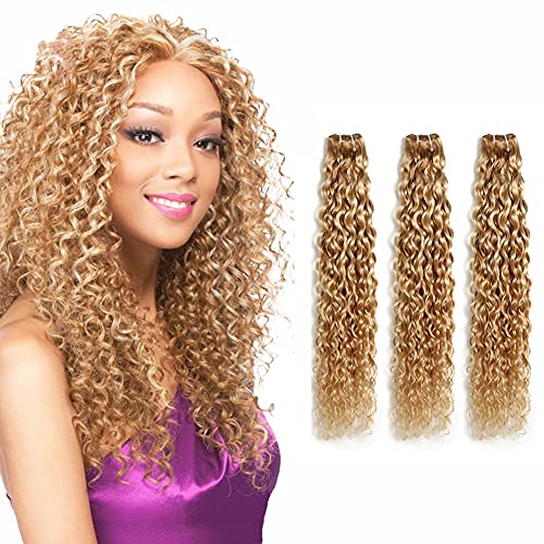 P27/613 Bundles 2 Tone Ombre water Wave Weave Blonde Ombre 3 Bundles Brazilian Hair Bundles Hair Bundles water Wave Cheap Virgin Hair Extensions 26 28 30 Inch