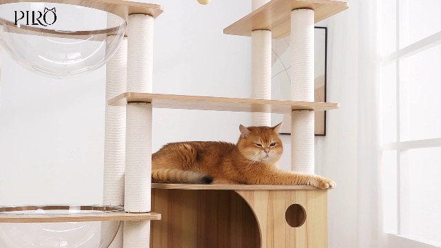 Amazon | 【なになにLife】 キャットタワー 木製 据え置き おしゃれ 高