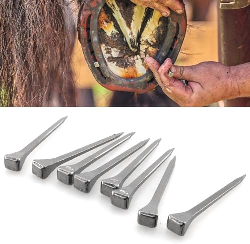 Image of Steel 1.77 inch Horseshoe Nails E3 Horseshoe Nails Box of 250pcs | Stainless Steel Nail-Horse Hoof Training Supplies Tool for Securing Firmly