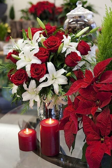 Miniatura 2 de Kabloom PRIME NEXT DAY DELIVERY - Ramo de 8 lirios orientales blancos, 12 rosas rojas con verdes con florero, flores frescas, regalo para Navidad,