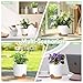 WSMKSZ 4 inch Self Watering Pots for Indoor Outdoor Plants, 6 Pack Plastic Flower Planters with Drainage Holes and Removable Saucers, Plant Pots with Wicking Rope, Modern Decor, White Brown
