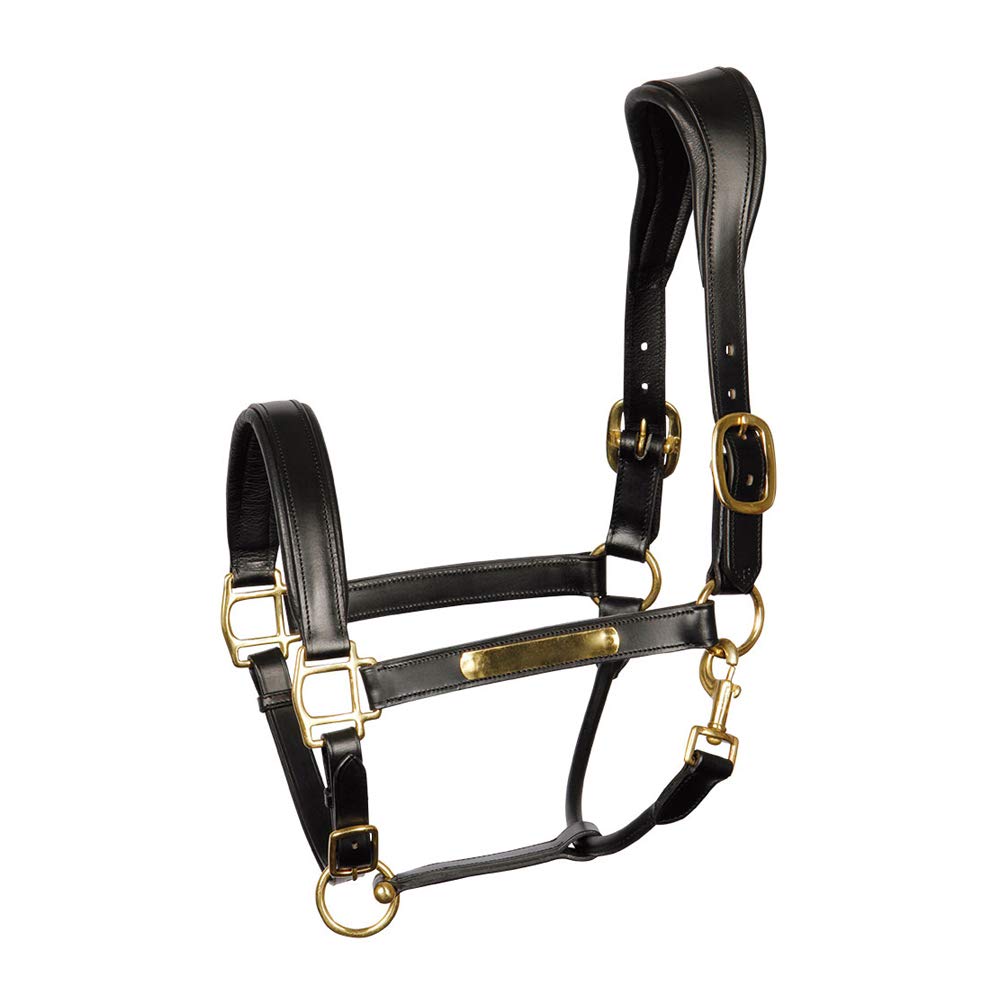 Harry's Horse 28500003-03-FULL anatomiczny uchwyt skórzany, w pełni czarny