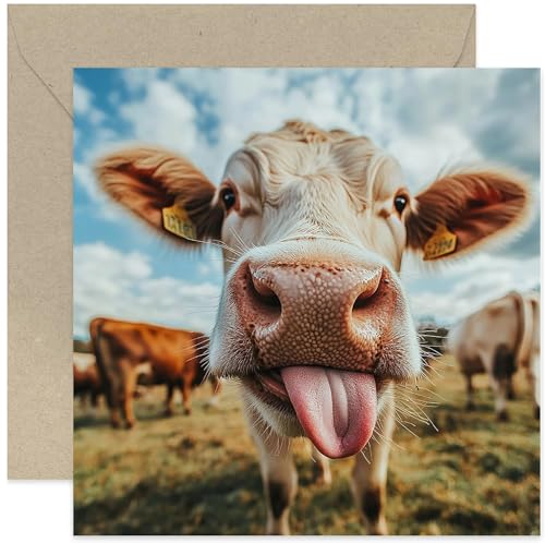 Fun Birthday Cards for Him - Funny Cow Licking Photo