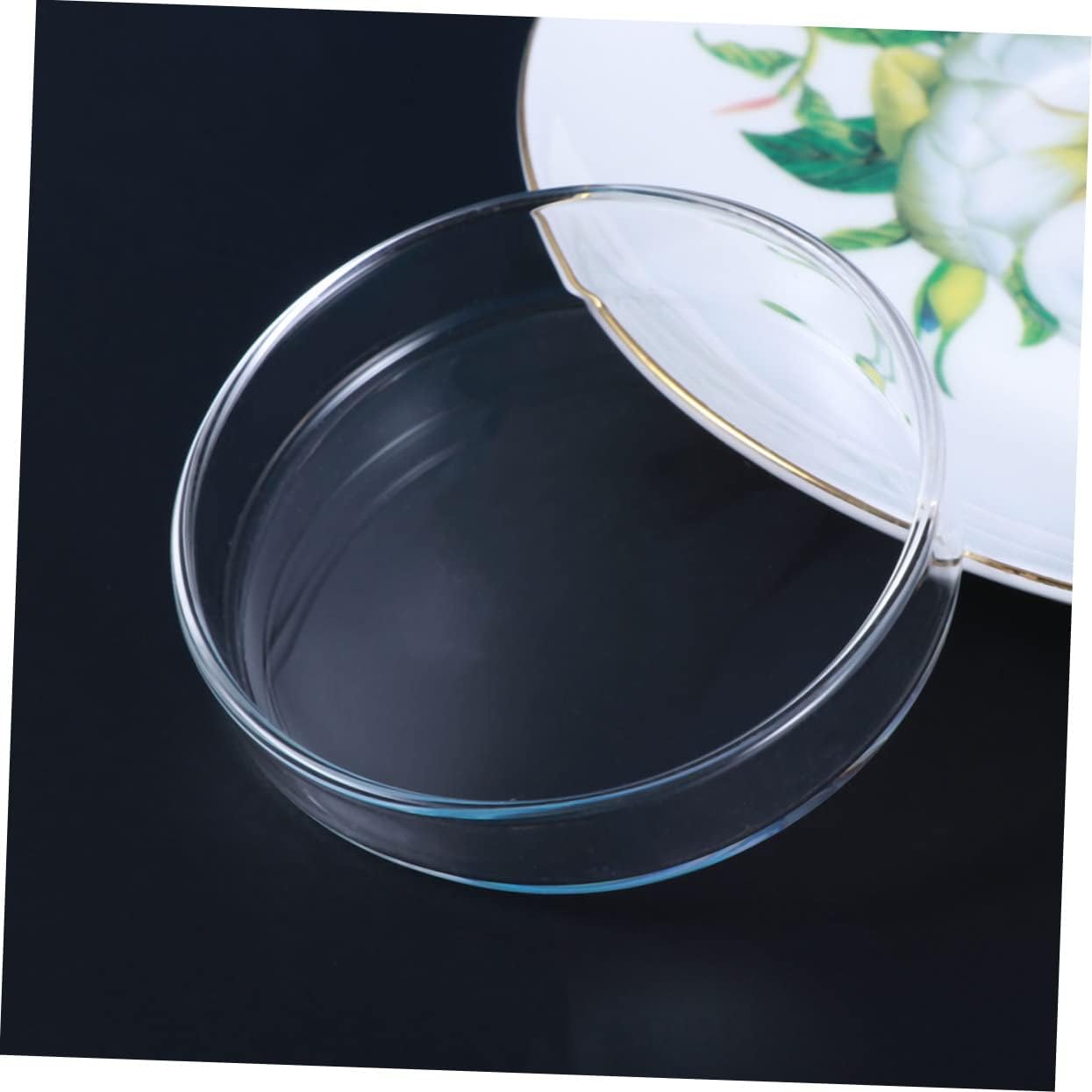 Angoily 3pcs Shrimp Food Basin Glass Feeder Bowl Small Multi-Purpose Fish Aquarium Ornamental Supplies