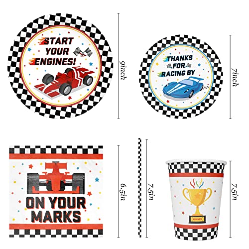 Racing Car Party Supplies Decorations, Checked Race Car Theme Birthday Paper Plates and Napkins Set with Cups and Straws for 24 Guests, 120 Pcs Disposable Party Dessert Dinnerwares